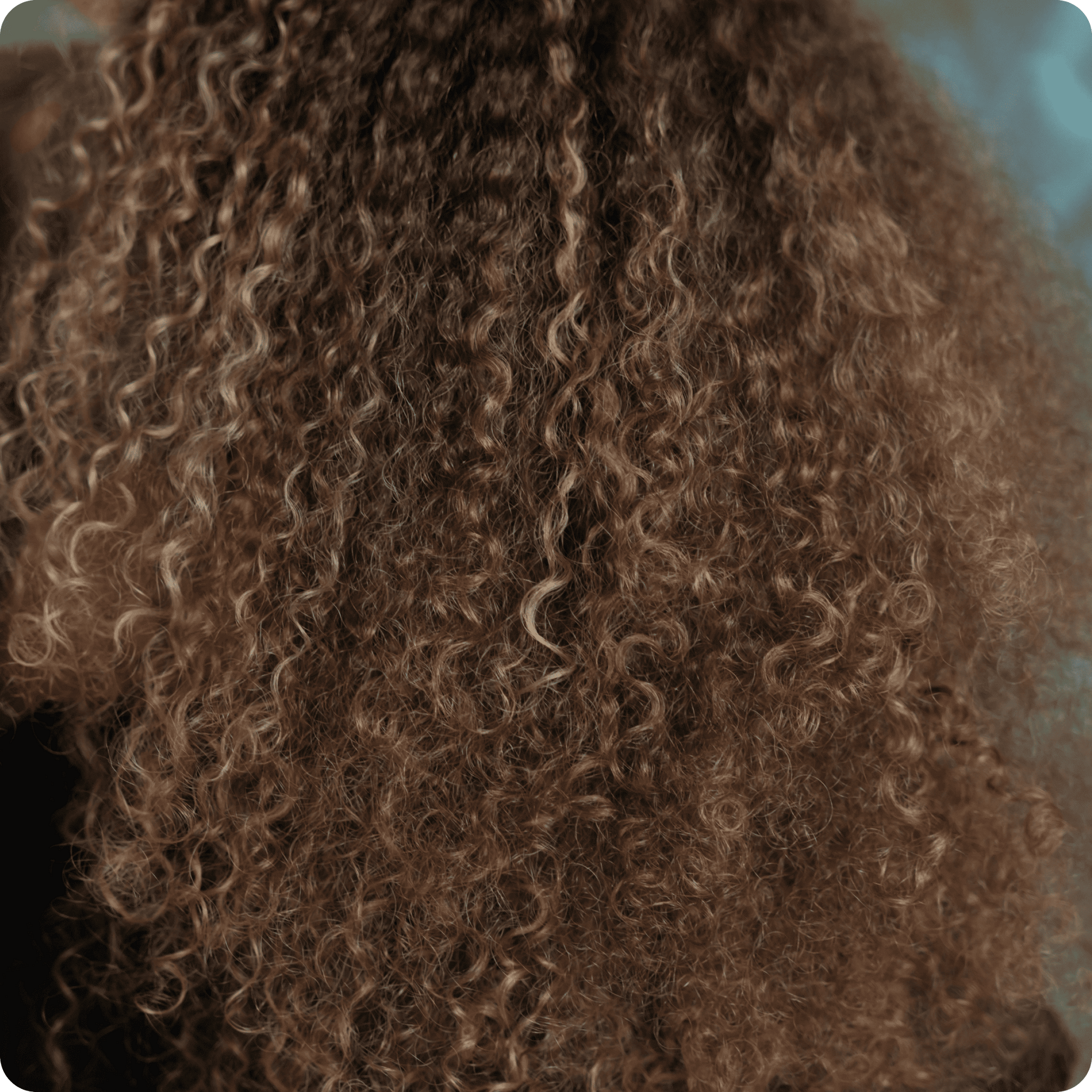 10 reasons why curls frizz